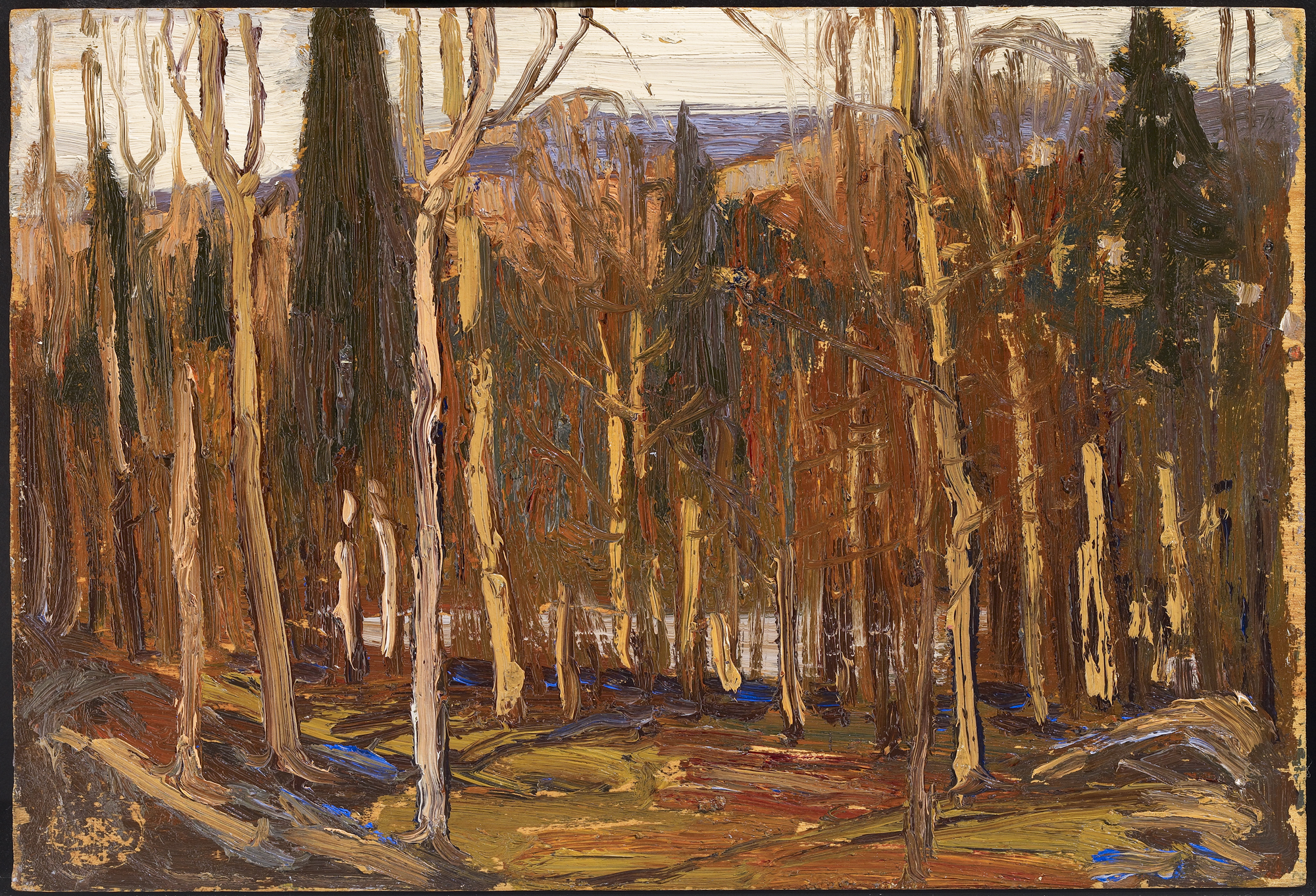Nocturne, Fall 1916 (1916.165) Catalogue entry Tom Thomson Catalogue Raisonné